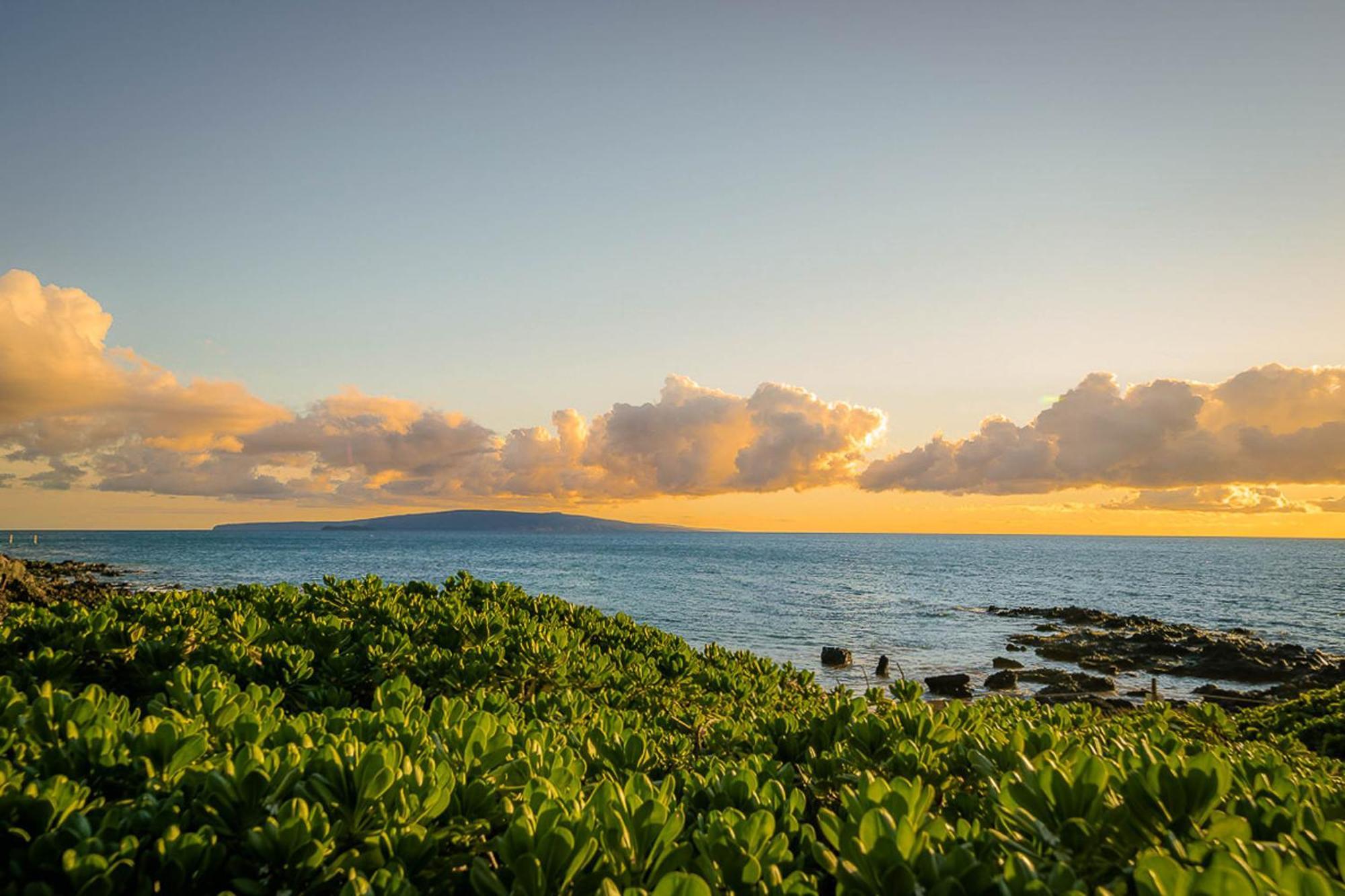 Maui Kamaole H-101 Apartment Wailea  Ngoại thất bức ảnh